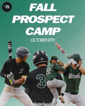 Image post by @stevensonbsb on Instagram