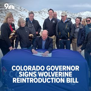 Image post by @9newsdenver on Instagram