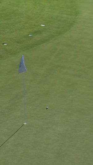Video post by @Chevron_Golf on Twitter/X