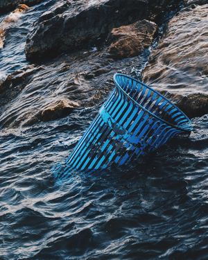 Image post by @willtrogdon on Instagram