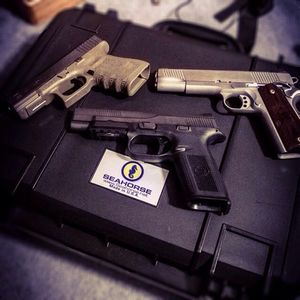 Image post by @seahorsecases on Instagram