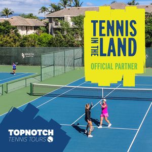 Image post by @tennisintheland on Instagram