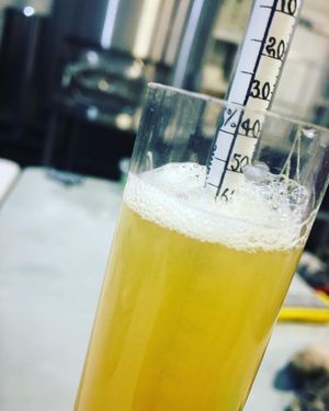 Image post by @navigationbrewingco on Instagram