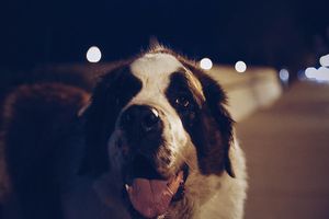 Image post by @willtrogdon on Instagram