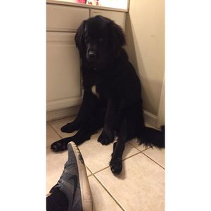 Image post by @nashthenewfie on Instagram