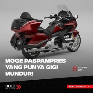 Image post by @boldriders on Instagram