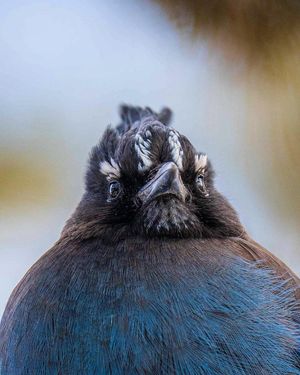 Image post by @nationalparkservice on Instagram