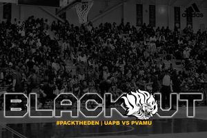 Image post by @uapblionsroar on Instagram
