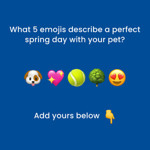 Image post by @bluebuffalo on Instagram