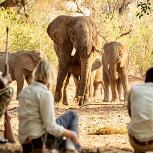 Image post by @chiawasafaris on Instagram