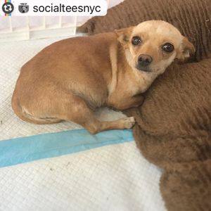 Image post by @nikkiglaser on Instagram