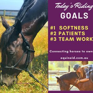 Image post by @equineidsolutions on Instagram