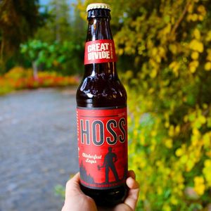 Image post by @greatdividebrew on Instagram