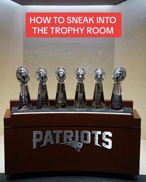 Image post by @patriots on TikTok