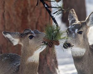 Image post by @nationalparkservice on Instagram