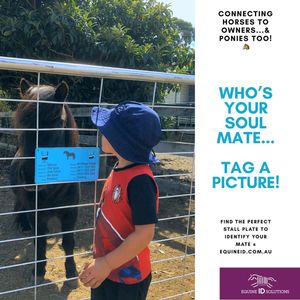 Image post by @equineidsolutions on Instagram