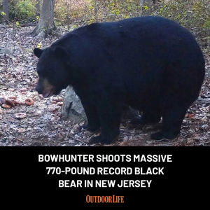 Image post by @outdoor_life on Instagram
