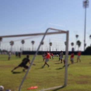 Image post by @tampabayrowdies on Instagram