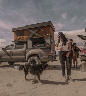 Image post by @triumphpetfood on Instagram