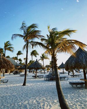 Image post by @kinikinitours on Instagram