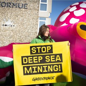 Image post by @greenpeace on Instagram