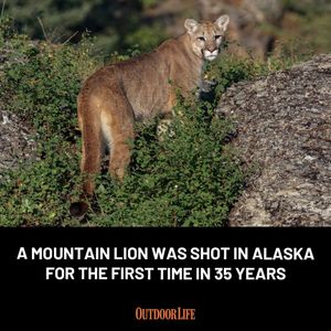 Image post by @outdoor_life on Instagram