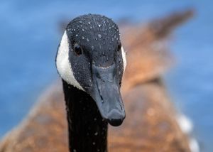 Image post by @huntsphotovideo on Instagram
