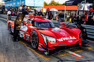 Image post by @pipoderani on Instagram
