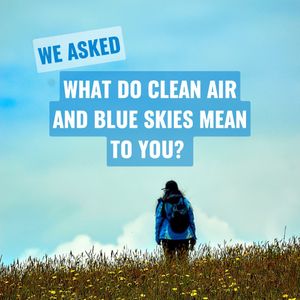 Image post by @greenpeace on Instagram