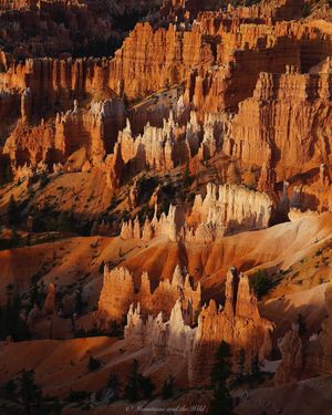 Image post by @nationalparkscollective on Instagram