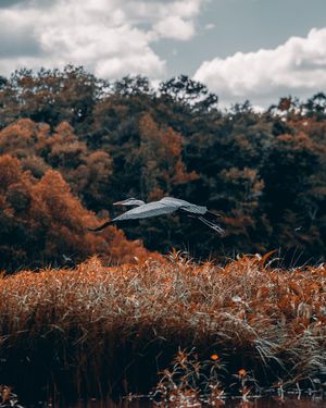 Image post by @tielerfriedline on Instagram