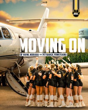 Image post by @WSCWildcatVB on Twitter/X