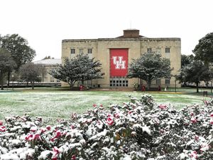 Image post by @universityofhouston on Instagram