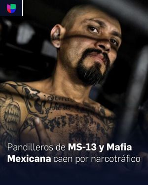 Image post by @univision23 on Instagram