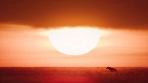 Image post by @reddigitalcinema on Instagram