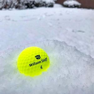 Image post by @wilsongolfcanada on Instagram