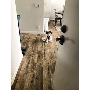 Image post by @morganstuart18 on Instagram