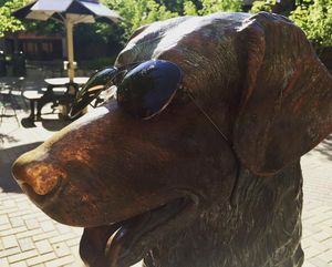 Image post by @umbclife on Instagram