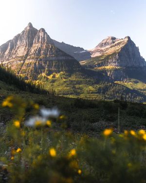 Image post by @nationalparkscollective on Instagram