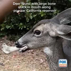 Image post by @foxweather on Instagram