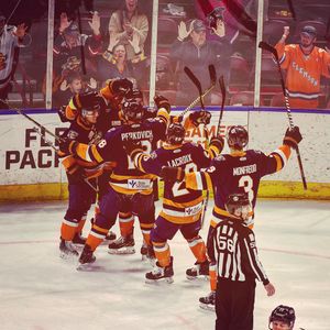 Image post by @swamprabbits on Instagram