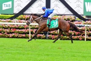 Image post by @australianturfclub on Instagram