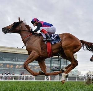 Image post by @australianturfclub on Instagram