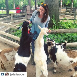 Image post by @visitoverlandpark on Instagram