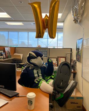 Image post by @blitztheseahawk on Instagram