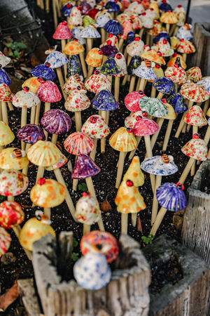 Image post by @rogersgardens on Instagram