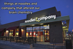Video post by @noodlescompany on TikTok
