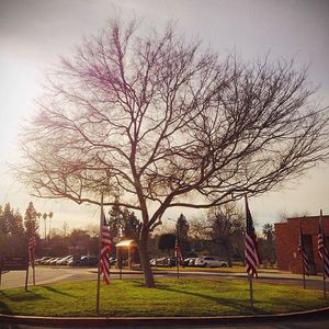 Image post by @jonendow on Instagram
