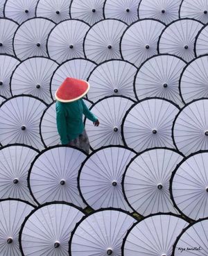 Image post by @fubiz on Instagram