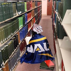 Image post by @nauflagstaff on Instagram